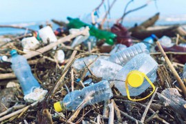 Công nghệ mới biến rác thải nhựa thành nguyên liệu thô có giá trị cao