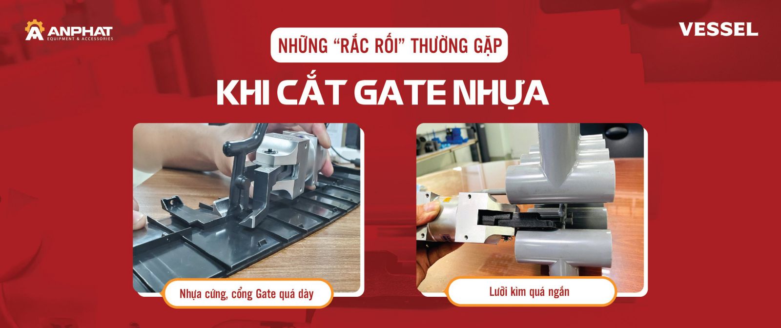kim-cat-gate